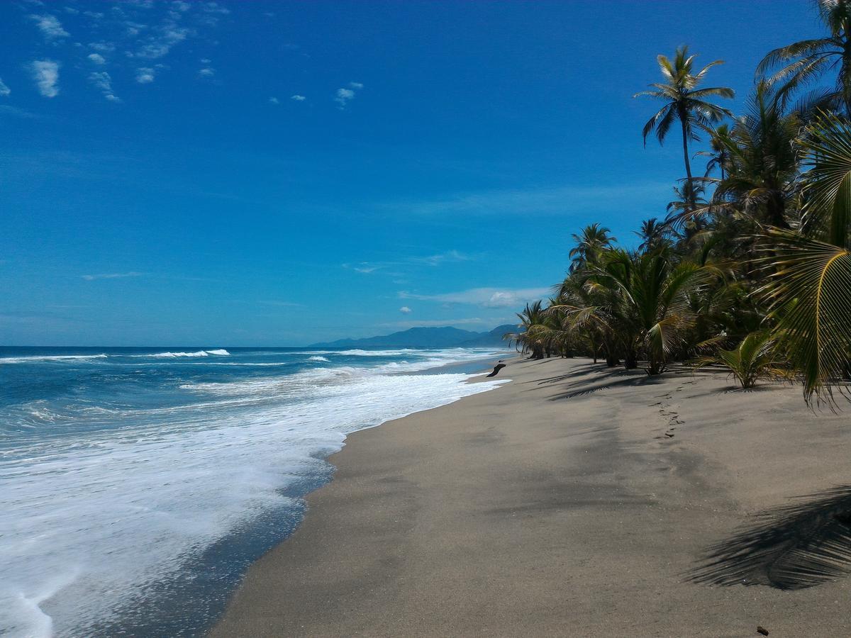 Playa Pikua Ecolodge Guachaca 외부 사진