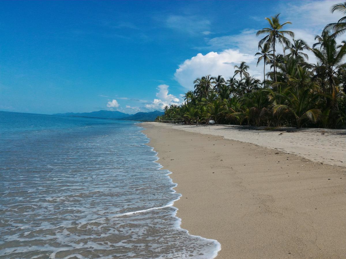 Playa Pikua Ecolodge Guachaca 외부 사진