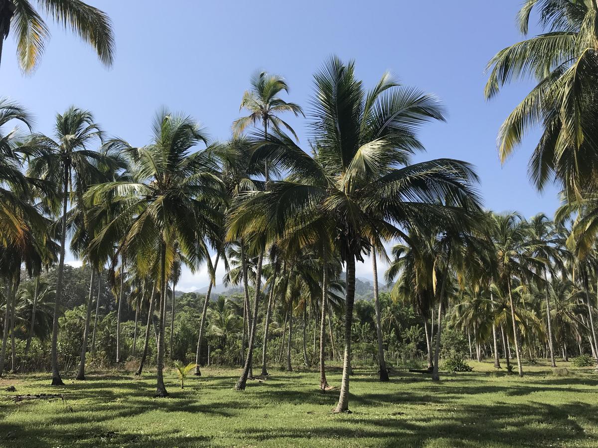 Playa Pikua Ecolodge Guachaca 외부 사진